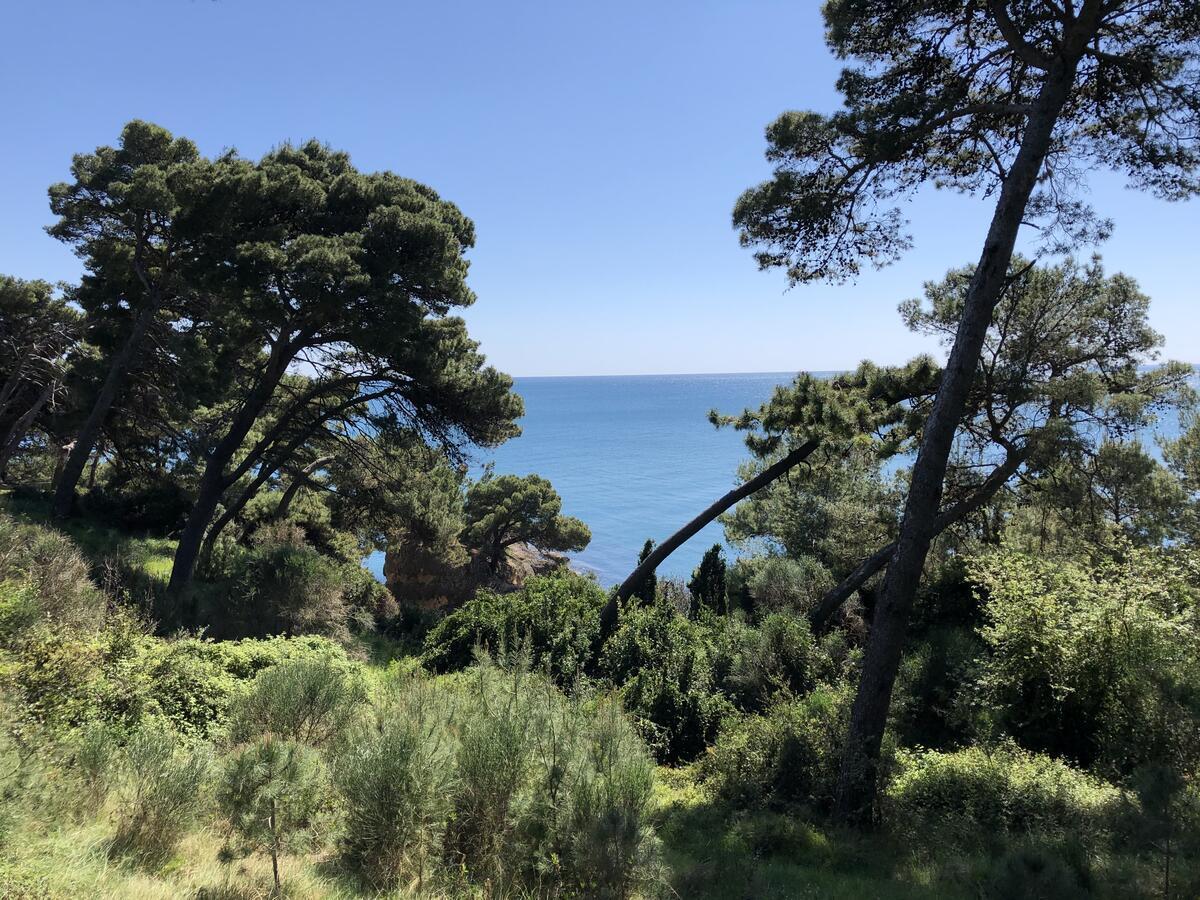 Long Beach Apartment Ulcinj Buitenkant foto